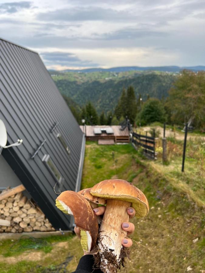 Nordik Cabin - Aframe With 2 Bedrooms Mărişel Εξωτερικό φωτογραφία